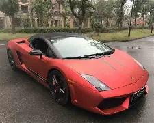 悉尼持续展,现强劲势头,电子竞技竞猜平台,电竞竞猜官网,电子竞技竞猜平台,电竞竞猜官方网站,电竞体育竞猜平台