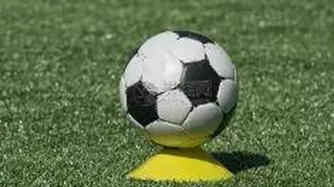 电子竞技竞猜平台 产品 095036 cpx