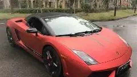 悉尼持续展现强劲势头