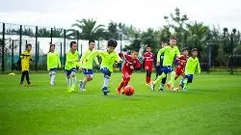 电子竞技竞猜平台 资讯 114237 qxt