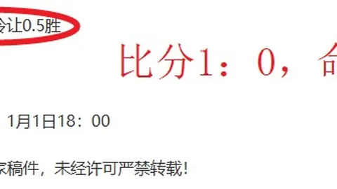 张帅&穆拉德诺维奇女双组合无缘八强，澳网女双八强征程戛然而止——央视新闻客户端讯